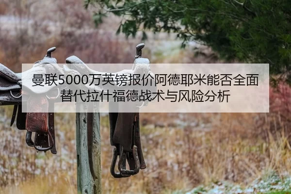 man-lian-wan-ying-bang-bao-jia-a-de-ye-mi-neng-fou-quan-mian-ti-dai-la-shen-fu-de-zhan-shu-yu-feng-xian-fen-xi-2-938.jpg